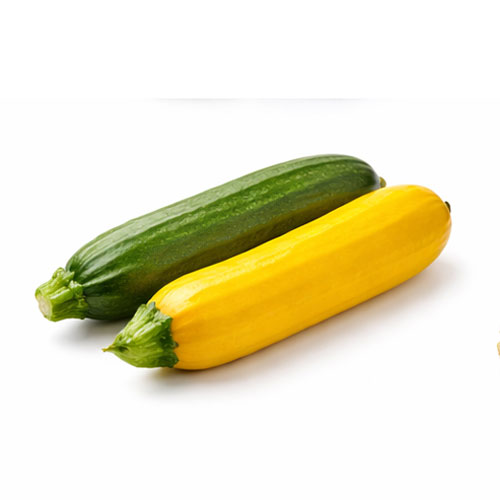 Zucchini